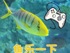 -海合安成都极地海洋公园