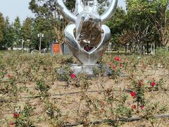 -顺峰山公园