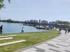 -金鸡湖景区