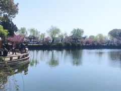-无锡蠡湖国家湿地公园-蠡园