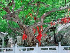 -青檀寺景区
