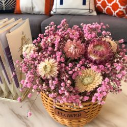 -澳玛·星光医疗美容