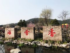 -香雪海