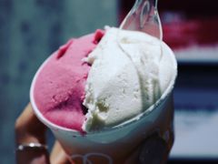 -Dip in Gelato(富民路店)