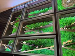 -彩虹之约•淮扬家宴(亚运村店)