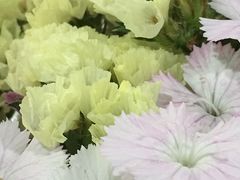 -三只蜜蜂蛋糕(东城店)