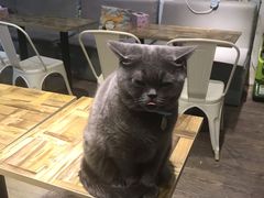 -小时光咖啡馆(开森度假森林店)