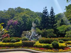 -金鸡山公园