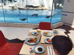 -帝企鹅自助餐厅•儿童岛•真企鹅(长隆企鹅酒店)