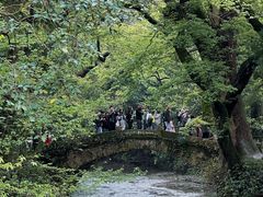 -天台山景区