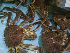 -渔民新村(番禺总店)