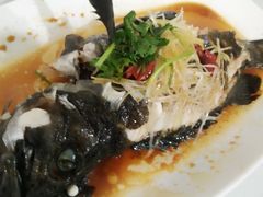 清蒸黑鱼-常家活海鲜小吃(仅一家无分店)