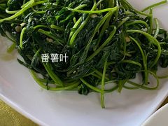 -红山村