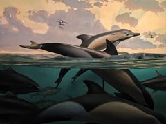 -美国自然历史博物馆