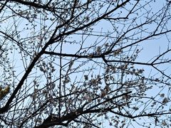 -浙江农林大学(东湖校区)