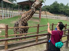 -西安秦岭野生动物园