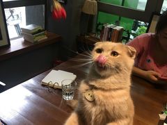 -咖法森林·咖啡  酒吧(天河店)