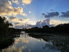 -新江湾城公园