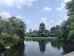 -桂湖森林公园