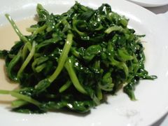 豌豆尖-苏浙汇(北京英蓝店)