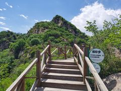 -大岭沟猕猴桃谷风景区