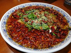 杨记招牌鱼-杨记隆府(白象街店)