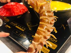 花胶鸡-鲜入围煮花胶鸡海鲜火锅