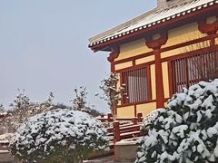 -洛阳古墓博物馆