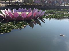 -帽儿山风景区