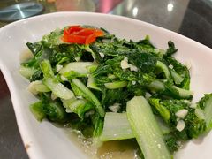 清炒小白菜-刘胖子家常菜·蹄花焖藕(中南店)