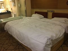 -深圳楚天大酒店(福田口岸深圳会展中心店)