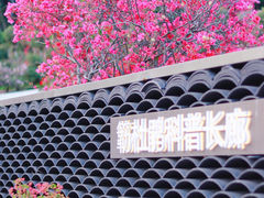 -莲花山公园
