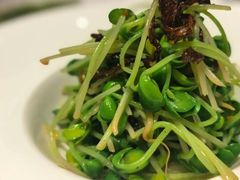 -西郊壹号
