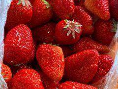 -兴福老面馆(寺路街店)