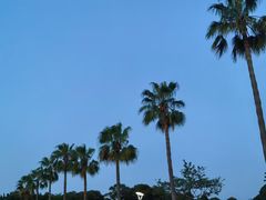 -厦门国家会计学院