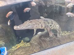 -波塞冬海底世界