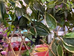 -金陵暴走小龙虾·迷踪蟹(凯德MALL店)