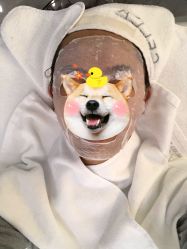 -海菲秀·飞顿牛奶光·LDM官方授权中心美轮美浣瓷感美肌