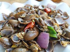 -新合益乡村农庄