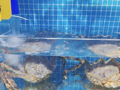 -前王院•巧克力海鲜市集餐厅(万平口店)