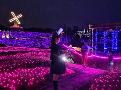 -大塘金香草谷