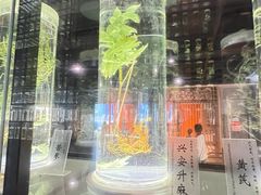 -广东中医药博物馆
