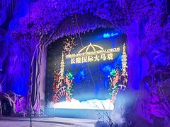 -广州长隆国际大马戏