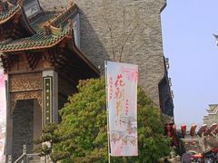-武汉园博园(武汉自然博物馆)