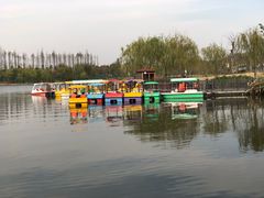 -上海长兴岛郊野公园