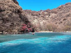 -少华山国家森林公园
