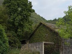 -阳朔糖舍酒店·糖舍餐厅&酒吧