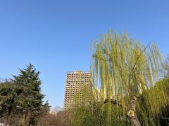 -堤角公园