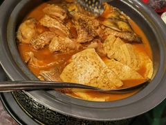 开河鲤鱼-九十九顶毡房(阜石路店)