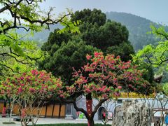 -华清宫景区